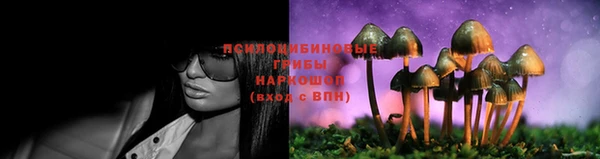 а пвп мука Богданович